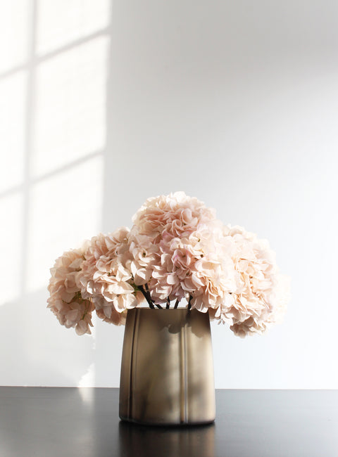 HORTENSIA'S