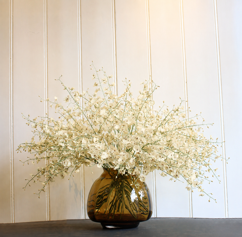 WHITE ORCHIDS