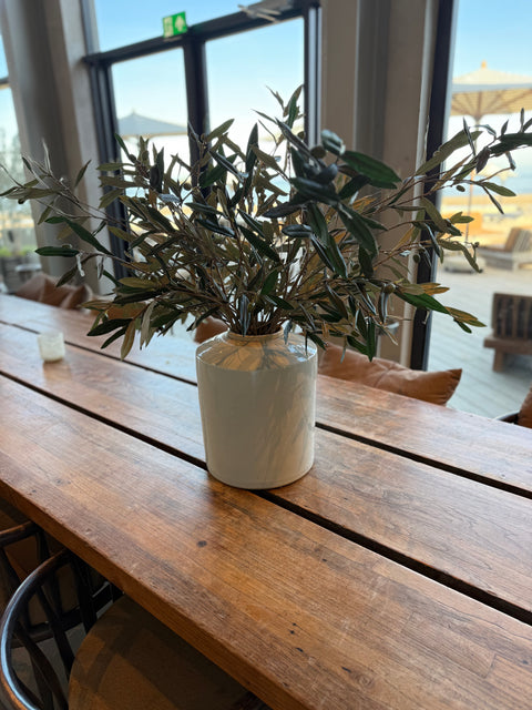 Olive branches