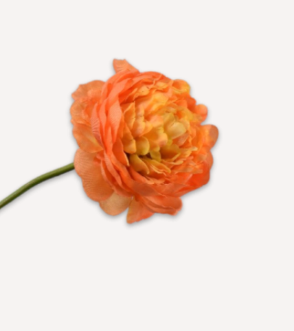 RANONKEL TAK ORANJE 64 cm