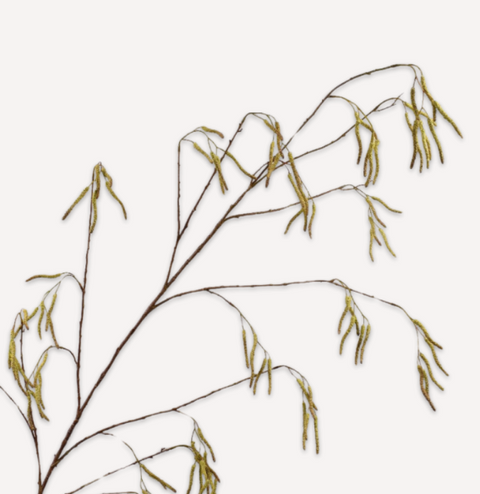 WILGENTAK GROEN 170 cm