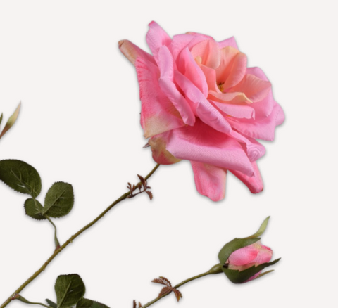 ROOS TAK ROZE 75 cm