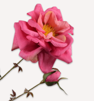 ROOS TAK FUCHSIA 75 cm