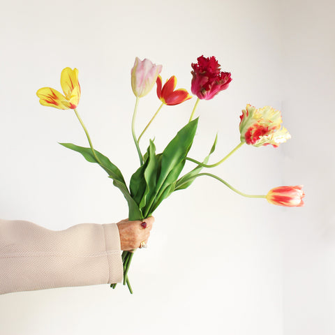 TULIPS