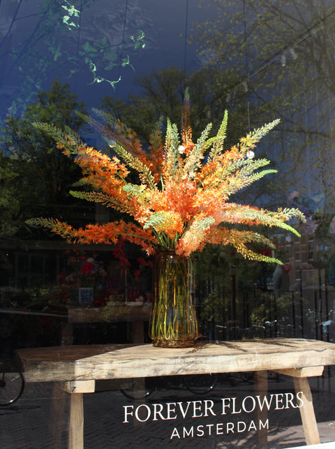 WINDOW 018