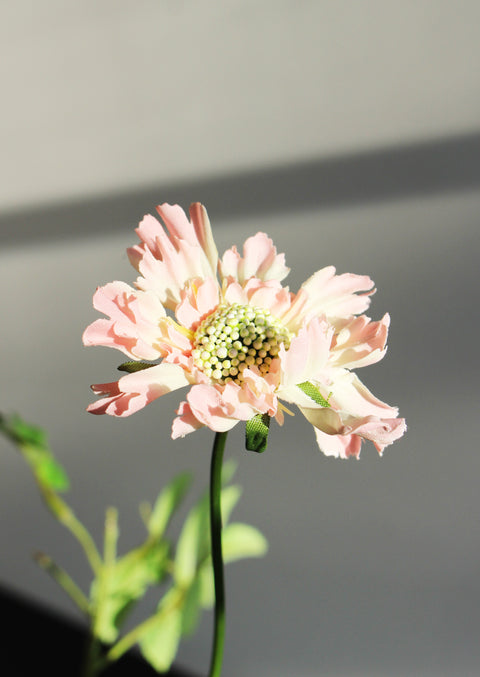 BRUSSELS - Artificial flowers