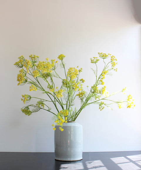 YELLOW DILL
