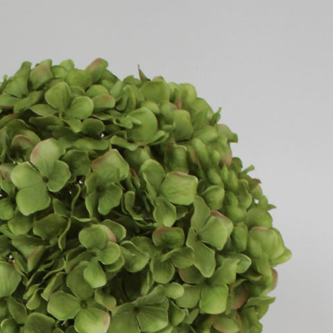 Hydrangea stem L - green