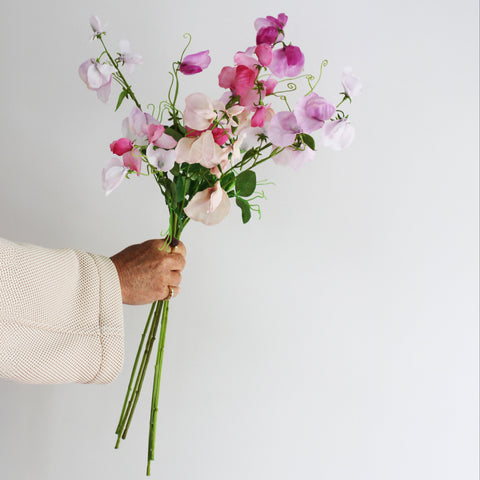 Sweet Peas