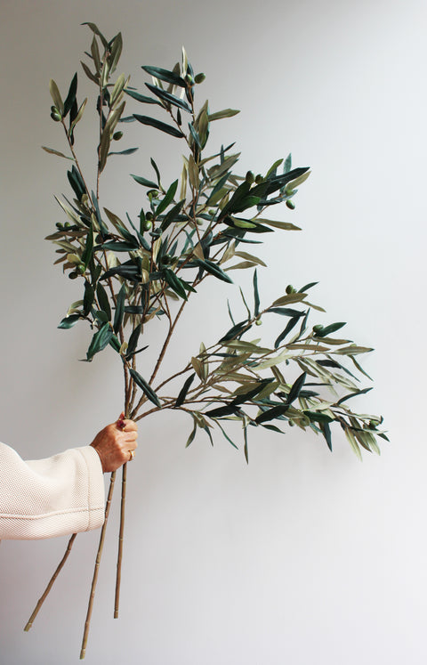 Olive branches