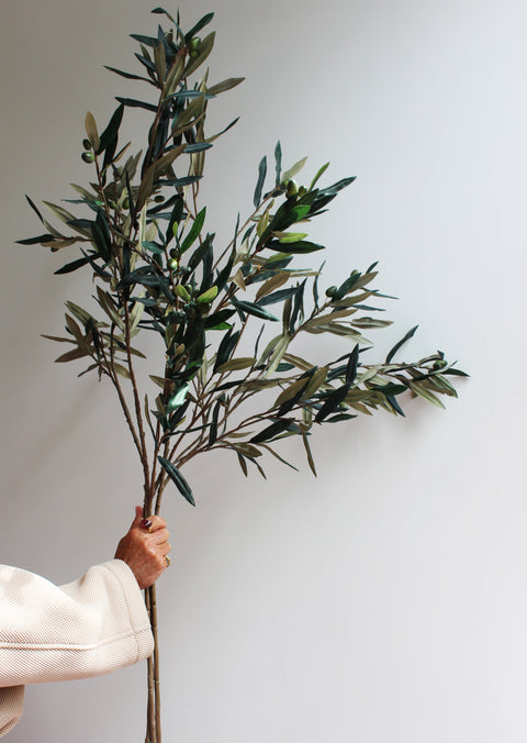 Olive branches