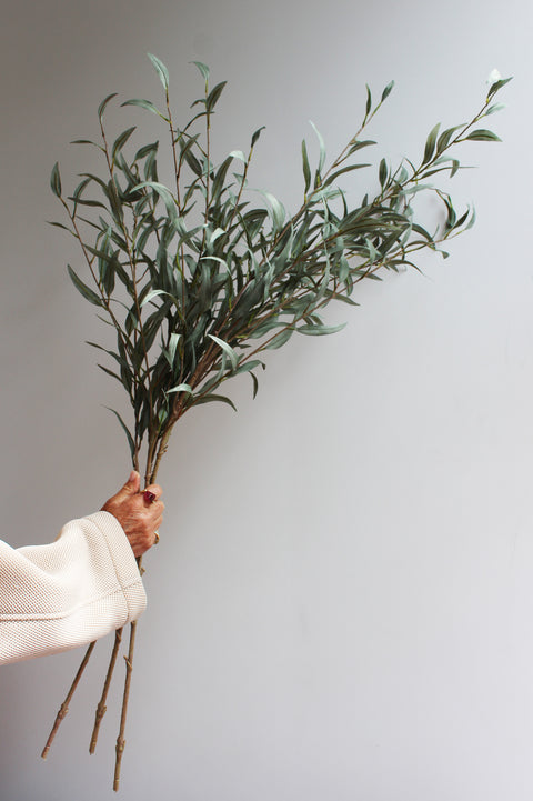 Eucalyptus