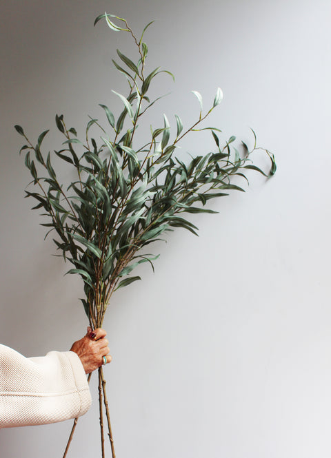 Eucalyptus