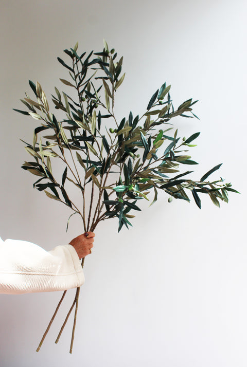 Olive branches