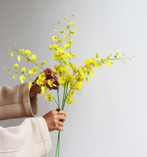 Gele orchideetjes