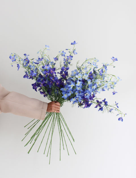 BLUE DELPHINIUM