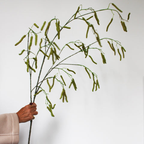 HAZEL BRANCH - Large