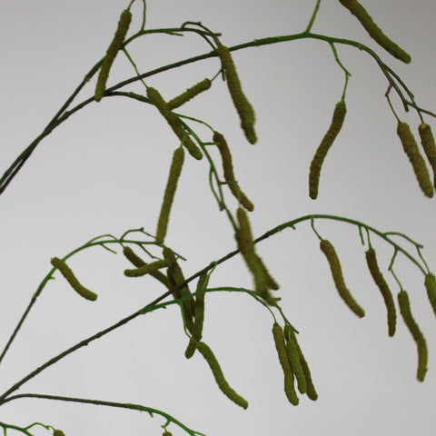 Hazel branch
