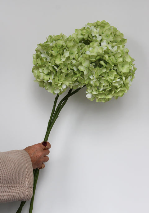 Hydrangea stems – small
