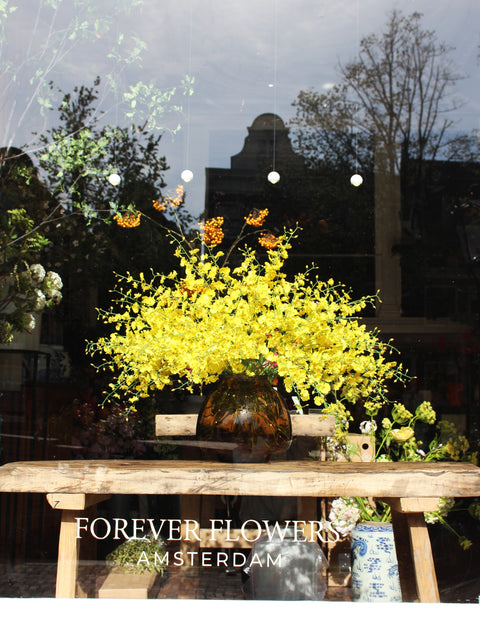 WINDOW 015
