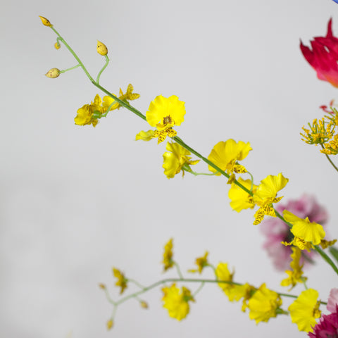 Singapore Flower Bouquet - Close-up