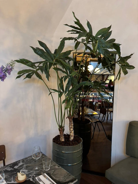 Restaurant Madre, Westerstraat