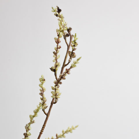 MONTREAL - Artificial flowers