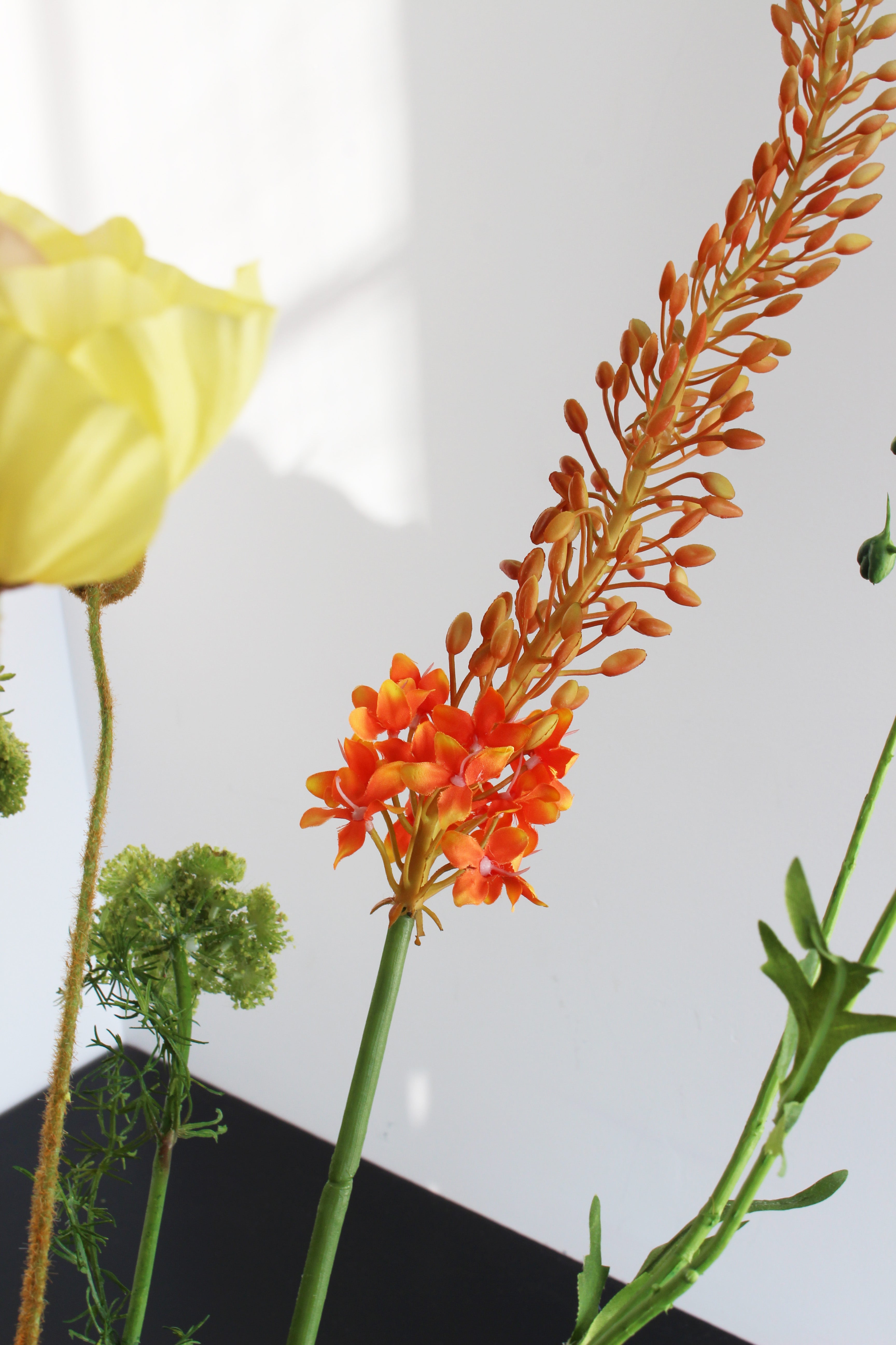 New Arrivals – Forever Flowers Amsterdam
