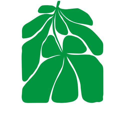 Forever Flowers Amsterdam