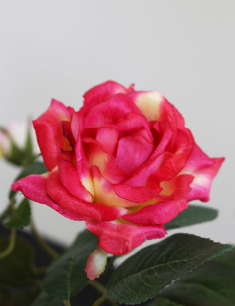 MARRAKESH Medium - Kunstbloemen