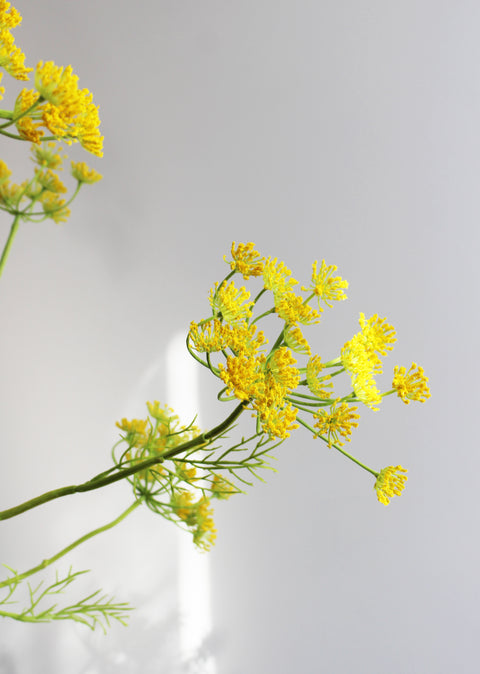Trinity Yellow
