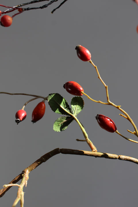 Roseship branches