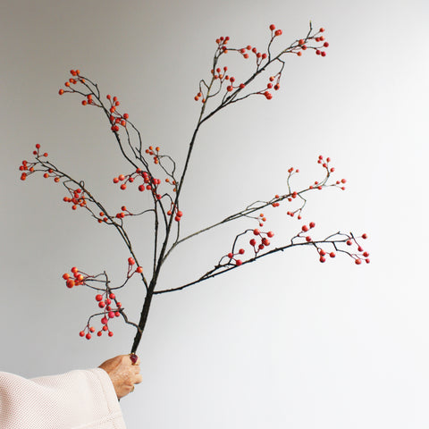 Berry branch - orange