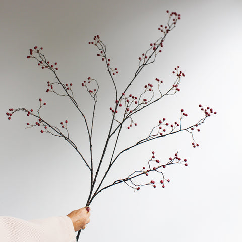 Berry branch - bordeaux