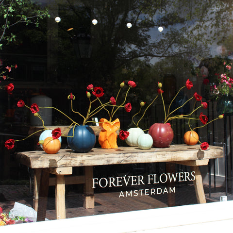 WINDOW 019