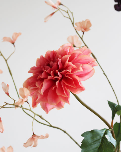 MINIMALISM PEACH