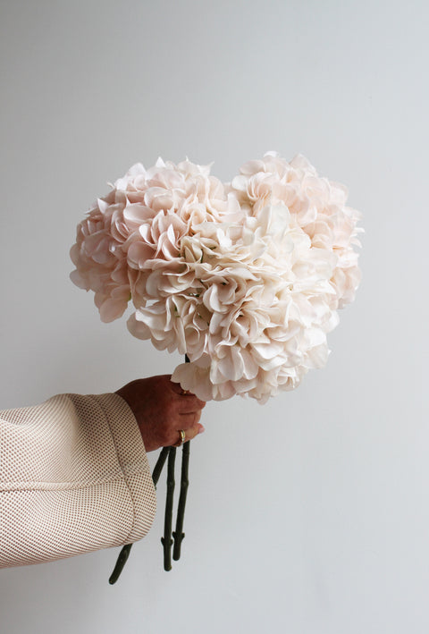 Hortensia's