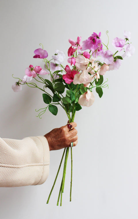 Lathyrus