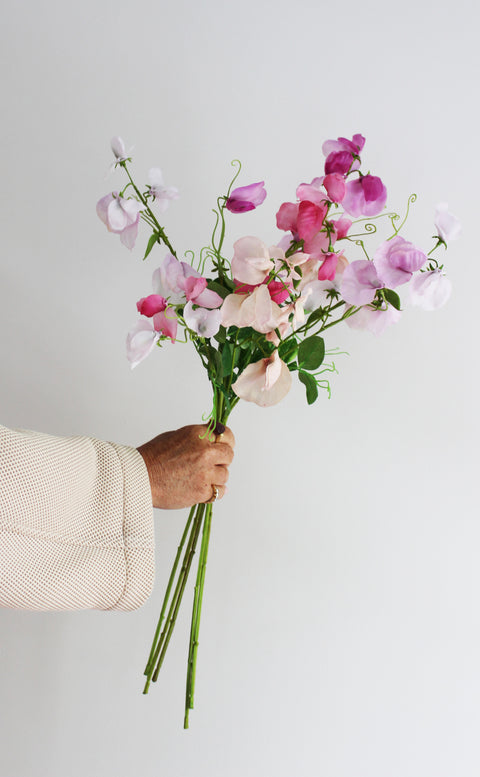 Lathyrus