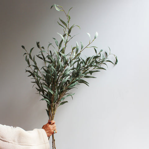 Eucalyptus