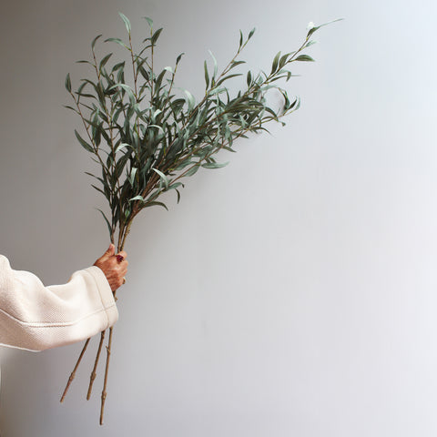 Eucalyptus