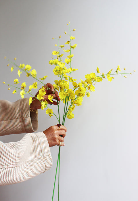 Gele orchideetjes