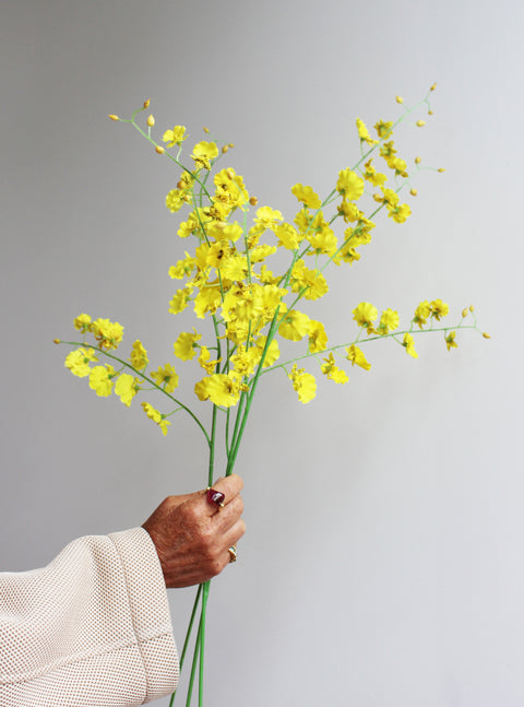 Gele orchideetjes
