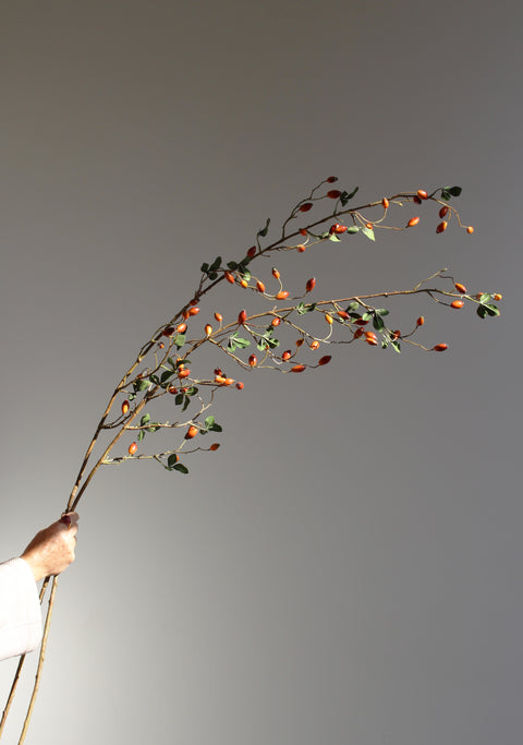 Roseship branches